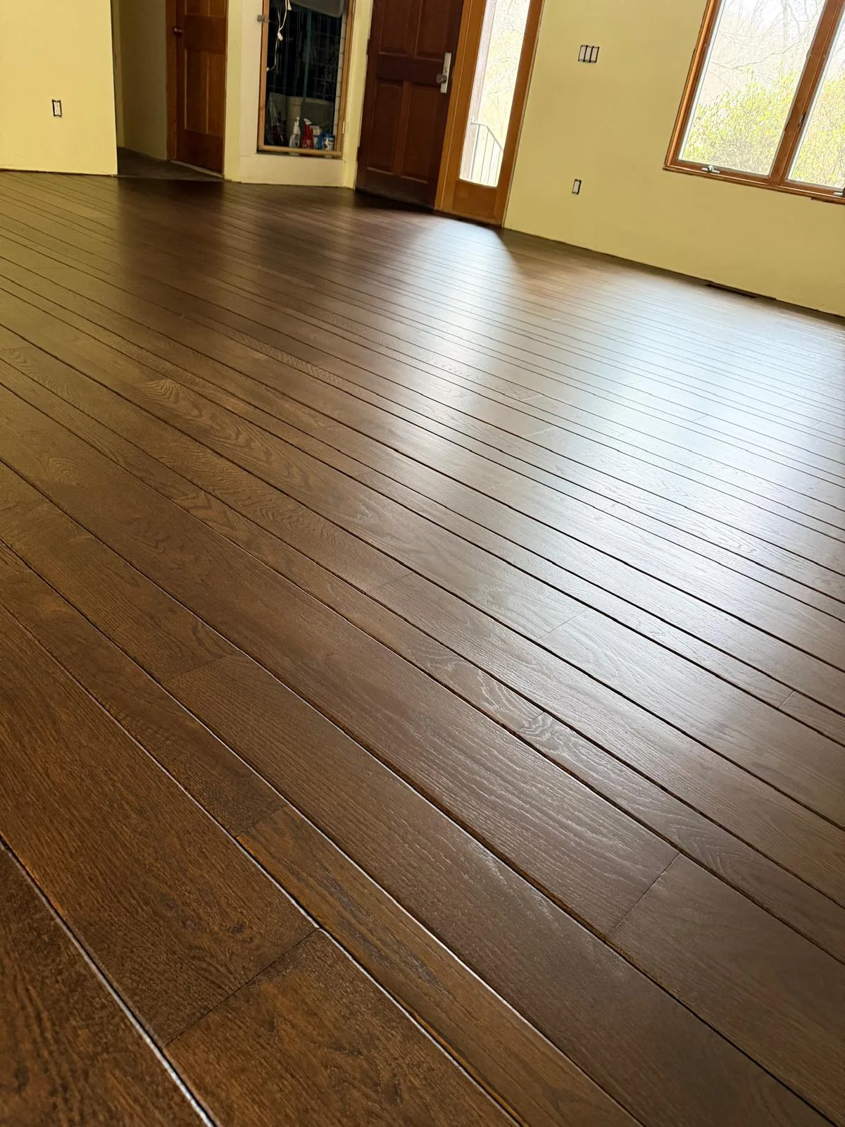 Large living area showcasing a freshly applied dark walnut floor stain on hardwood planks.